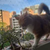 malla de seguridad nailon transparente