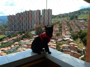 malla_nailon_balcon_mascota