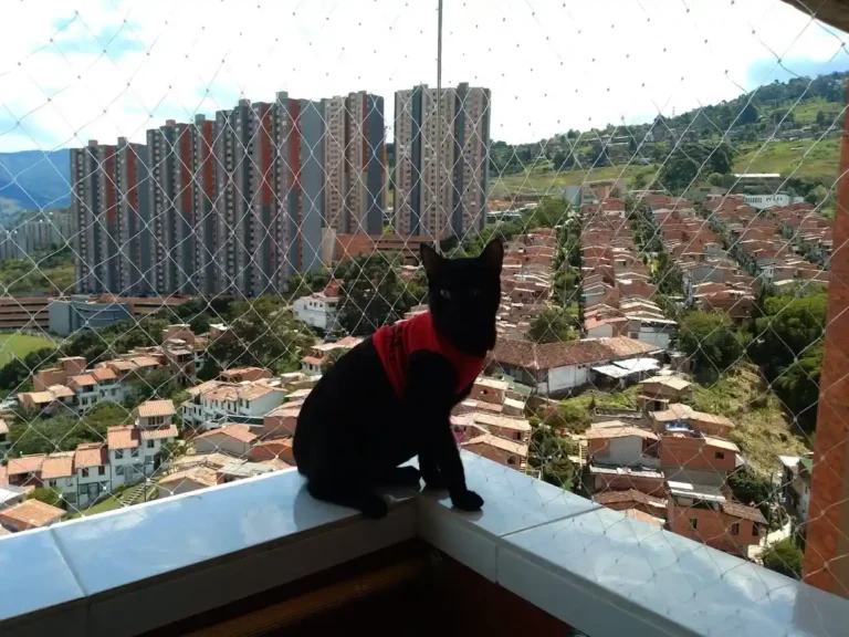 malla_nailon_balcon_mascota