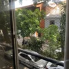 Malla-antimordida-ventana-negro Mallas de Seguridad Antimordida