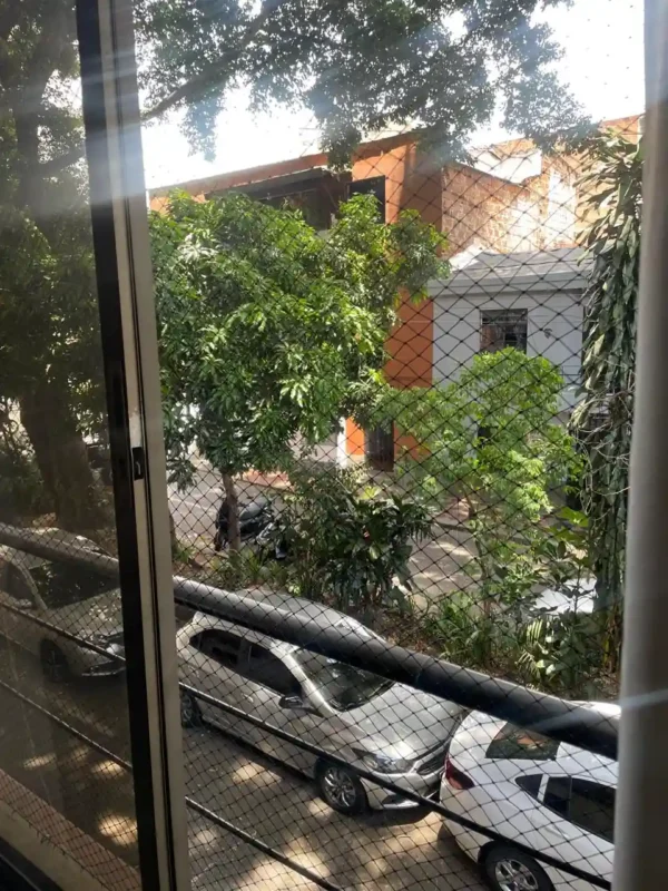 Malla-antimordida-ventana-negro Mallas de Seguridad Antimordida